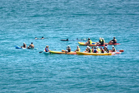 The Byron Bay Sea Kayak Tour - Getaway Accommodation 1