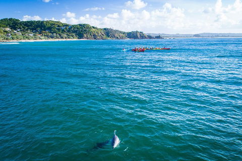 The Byron Bay Sea Kayak Tour - Getaway Accommodation 2