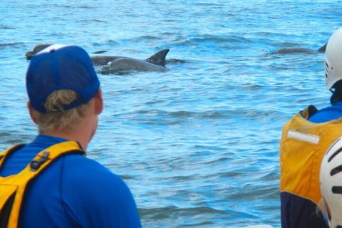 The Byron Bay Sea Kayak Tour - Getaway Accommodation 4