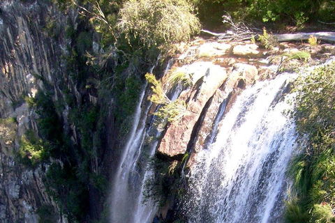 Byron Bay Combo: Hinterland Tour Including Minyon Falls And Kayaking With Dolphins - Getaway Accommodation 3