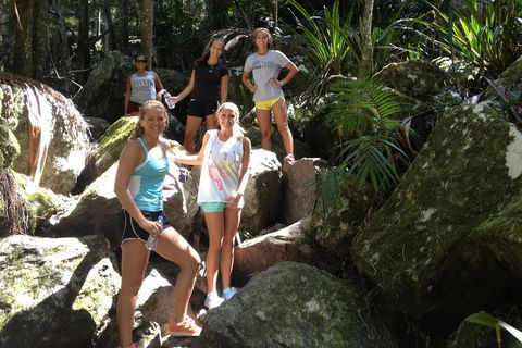 Byron Bay Combo: Hinterland Tour Including Minyon Falls And Kayaking With Dolphins - Getaway Accommodation 4