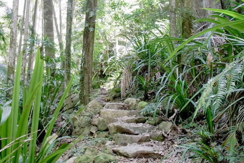 Byron Bay Combo: Hinterland Tour Including Minyon Falls And Kayaking With Dolphins - Getaway Accommodation 5