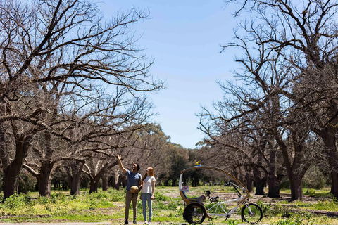 Adelaide 90-Minute Pedicab Tour: Scenic Green & River Experience - Getaway Accommodation 1