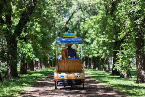 Adelaide 90-Minute Pedicab Tour: Scenic Green & River Experience - Getaway Accommodation 2