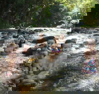 Daintree Rainforest Cape Tribulation Mossman Gorge Small-Group Day Tour - Getaway Accommodation