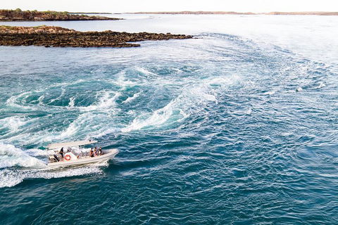 Giant Tides Tour - Cygnet Bay Pearl Farm - Getaway Accommodation 4