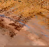 Scenic Flight Lizard Safari - Getaway Accommodation