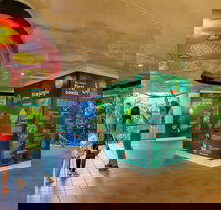 Skyrail  Kuranda Train Day Trip from Cairns - Getaway Accommodation