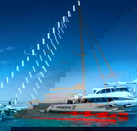 Passions of Paradise Great Barrier Reef Snorkel and Dive Cruise from Cairns by Luxury Catamaran - Getaway Accommodation