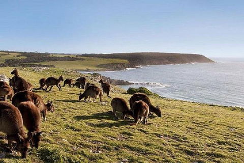 Kangaroo Island Personal Group Tours - Getaway Accommodation 0