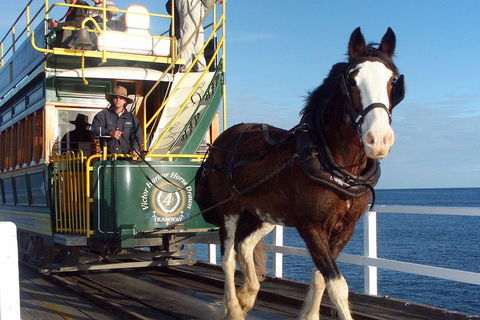 Full-Day Tour In South Australia Highlights - Getaway Accommodation 1
