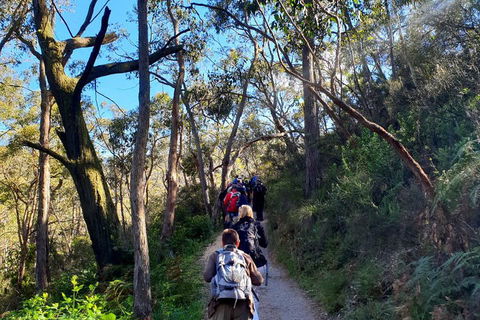 Self-Guided Waterfall Gully To Mount Lofty Hike From Adelaide - Getaway Accommodation 1