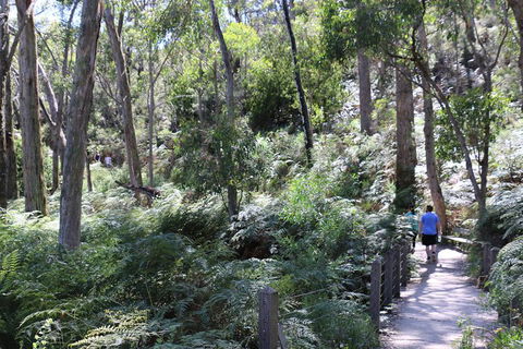 Self-Guided Waterfall Gully To Mount Lofty Hike From Adelaide - Getaway Accommodation 2