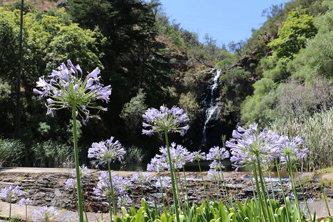 Self-Guided Waterfall Gully To Mount Lofty Hike From Adelaide - Getaway Accommodation 3