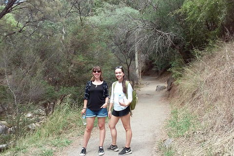 Self-Guided Waterfall Gully To Mount Lofty Hike From Adelaide - Getaway Accommodation 4