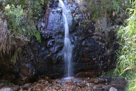 Self-Guided Waterfall Gully To Mount Lofty Hike From Adelaide - Getaway Accommodation 5