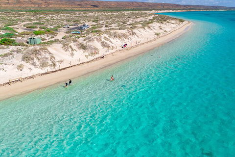 Ningaloo In A Day - Full Day Hike And Snorkel Tour With Lunch - Getaway Accommodation 0