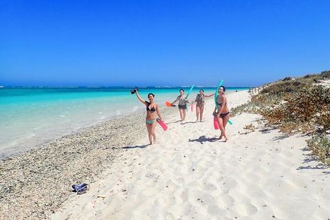 Ningaloo In A Day - Full Day Hike And Snorkel Tour With Lunch - Getaway Accommodation 1