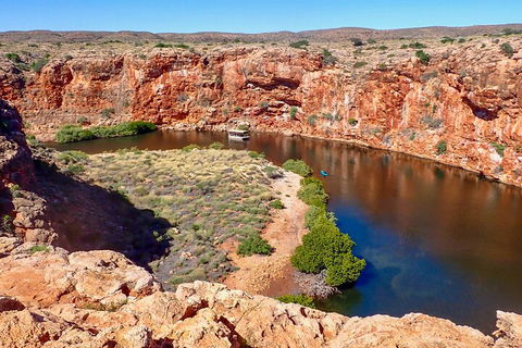 Ningaloo In A Day - Full Day Hike And Snorkel Tour With Lunch - Getaway Accommodation 2