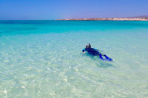 Ningaloo In A Day - Full Day Hike And Snorkel Tour With Lunch - Getaway Accommodation 4