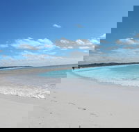 Shipwreck Special Nature Tour/Half Day Tour - Getaway Accommodation