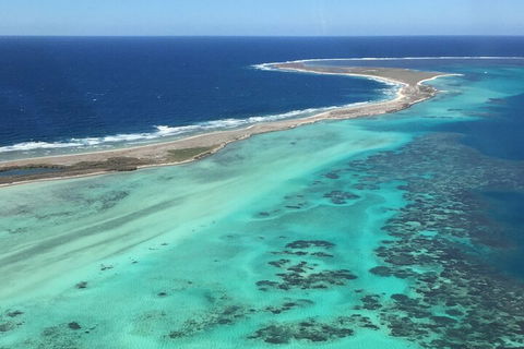 Pink Lake + Abrolhos Islands Nature Tour - Getaway Accommodation 2