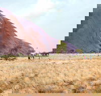 Uluru Sunrise and Guided Base Walk - Getaway Accommodation