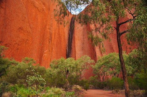 Uluru Sunrise And Guided Base Walk - Getaway Accommodation 3