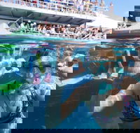 Great Barrier Reef Day Cruise from Cairns Including Snorkeling and Marine Biologist Presentation - Getaway Accommodation