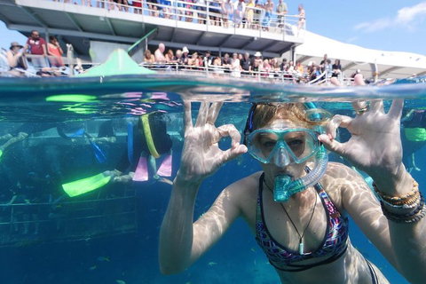 Great Barrier Reef Day Cruise From Cairns Including Snorkeling And Marine Biologist Presentation - Getaway Accommodation 0