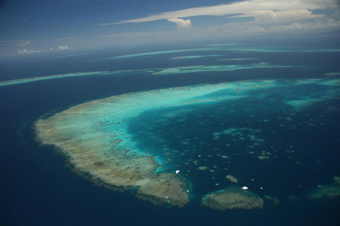 Great Barrier Reef Day Cruise From Cairns Including Snorkeling And Marine Biologist Presentation - Getaway Accommodation 1
