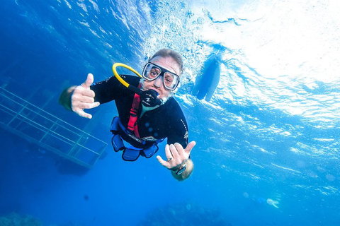 Great Barrier Reef Day Cruise From Cairns Including Snorkeling And Marine Biologist Presentation - Getaway Accommodation 3