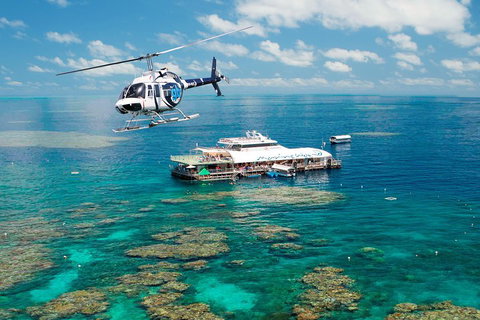 Great Barrier Reef Day Cruise From Cairns Including Snorkeling And Marine Biologist Presentation - Getaway Accommodation 5