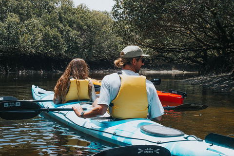 Kayak Tour In Adelaide Dolphin Sanctuary - Getaway Accommodation 2