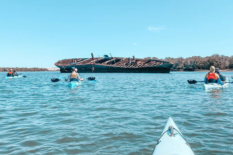 Kayak Tour In Adelaide Dolphin Sanctuary - Getaway Accommodation 3
