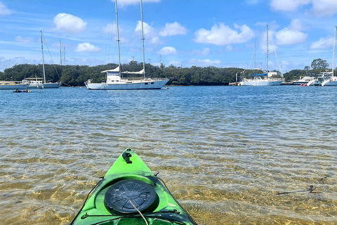 Kayak Tour In Adelaide Dolphin Sanctuary - Getaway Accommodation 4