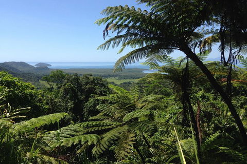 Daintree And Cape Tribulation Full Day Guided Tour - Getaway Accommodation 2