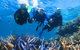 Quicksilver Outer Great Barrier Reef Snorkel Cruise From Palm Cove - thumb 3
