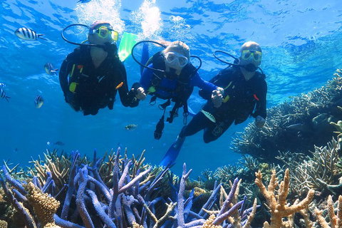 Quicksilver Outer Great Barrier Reef Snorkel Cruise From Palm Cove - Getaway Accommodation 3