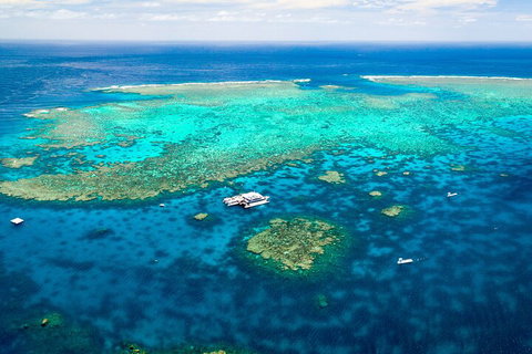 Quicksilver Outer Great Barrier Reef Snorkel Cruise From Palm Cove - Getaway Accommodation 4