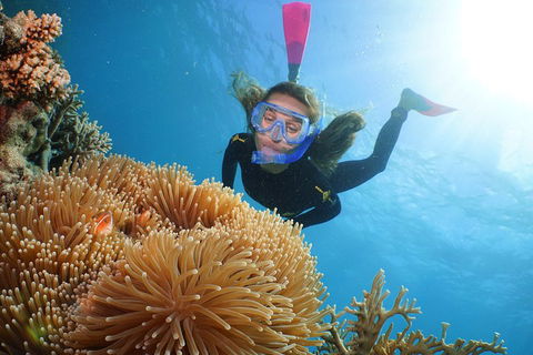Quicksilver Outer Great Barrier Reef Snorkel Cruise From Port Douglas - Getaway Accommodation 2