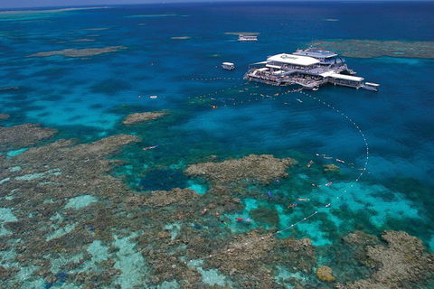 Quicksilver Outer Great Barrier Reef Snorkel Cruise From Port Douglas - Getaway Accommodation 3
