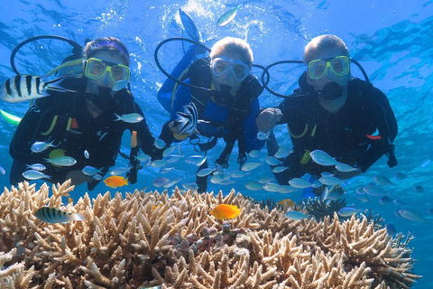 Quicksilver Outer Great Barrier Reef Snorkel Cruise From Port Douglas - Getaway Accommodation 4