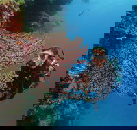 Silversonic Outer Great Barrier Reef Dive and Snorkel Cruise from Port Douglas - Getaway Accommodation