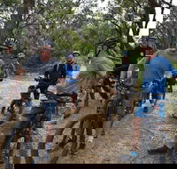 Fully guided E-Mountain Bike Tour on the beautiful Mornington Peninsula. - Getaway Accommodation