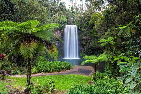 Cairns & Port Douglas All-Inclusive 7 Days Touring Package - Getaway Accommodation 2