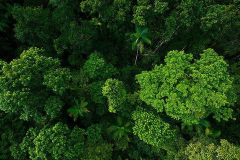 Cairns & Port Douglas All-Inclusive 7 Days Touring Package - Getaway Accommodation 4