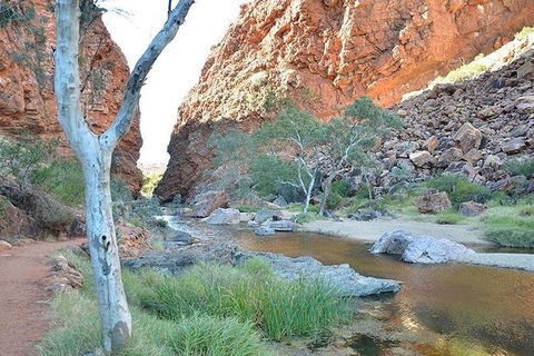 Alice Springs, Uluru Ayers Rock & Kings Canyon 8 Days Touring Package - Getaway Accommodation 2