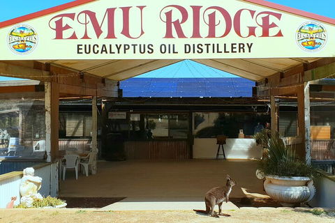 2-Day Kangaroo Island Safari From Adelaide - Getaway Accommodation 4