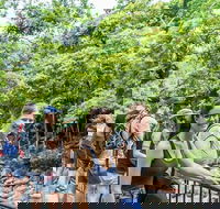 Cape Tribulation Mossman Gorge and Daintree Rainforest Day Trip from Cairns or Port Douglas - Getaway Accommodation